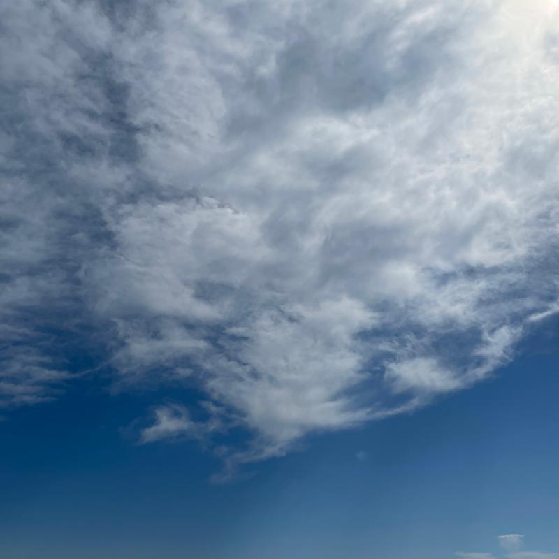 Fotosegnalazione di Tortoreto lido