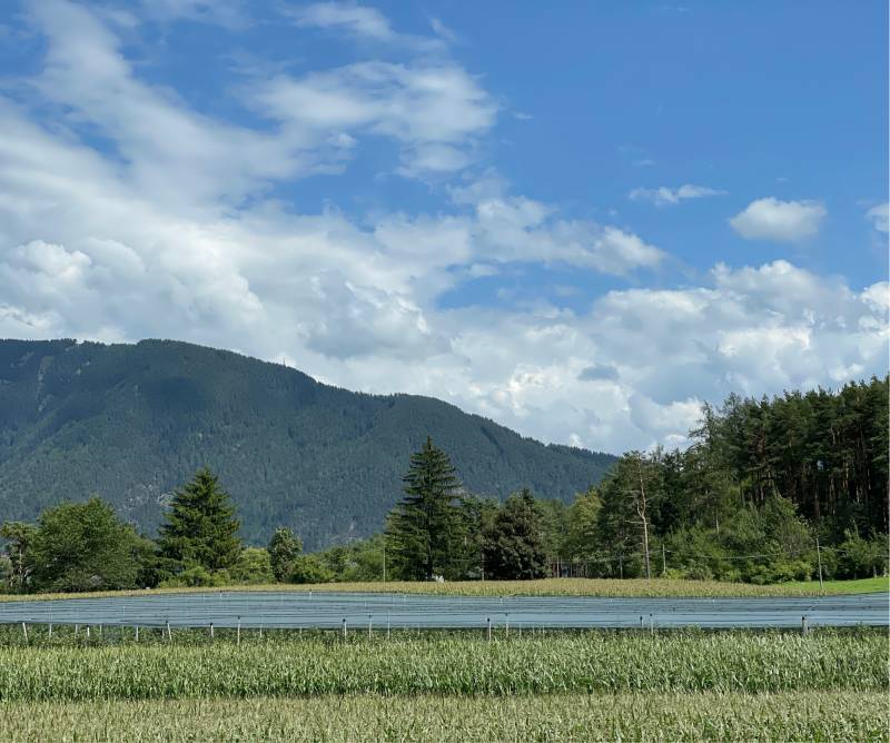 Fotosegnalazione di Naz sciaves