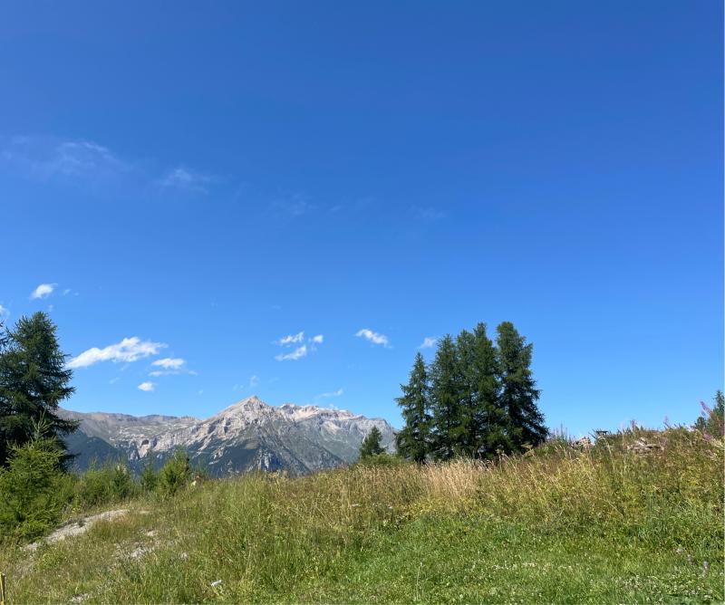 Fotosegnalazione di Sauze d'oulx