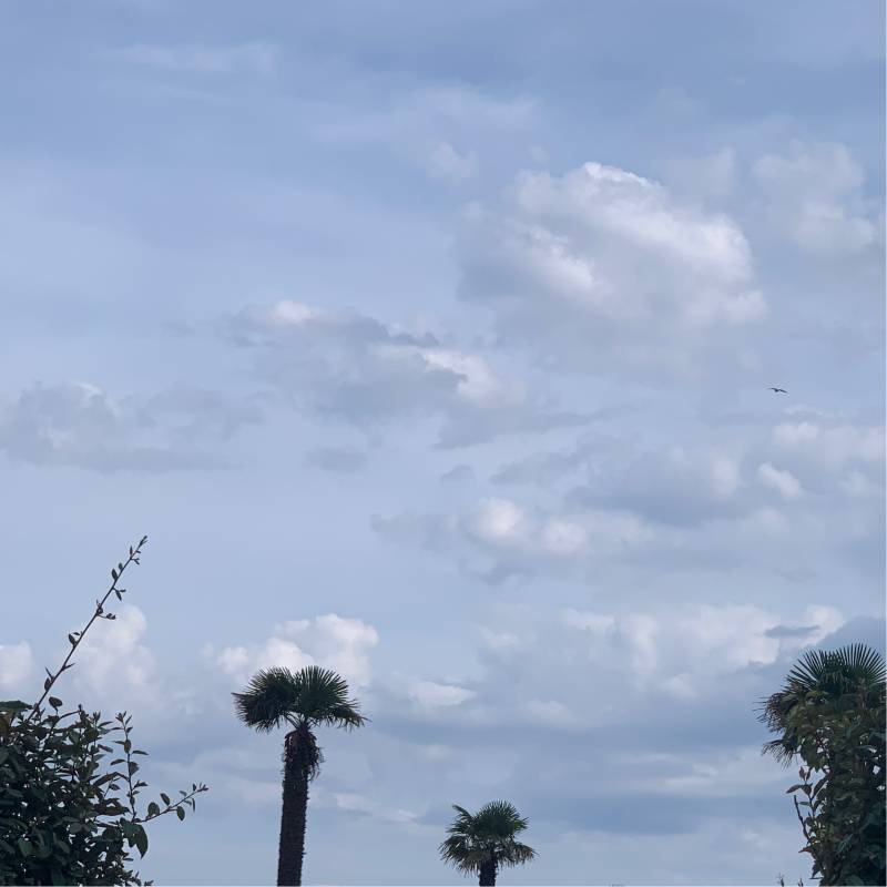 Fotosegnalazione di Jesolo