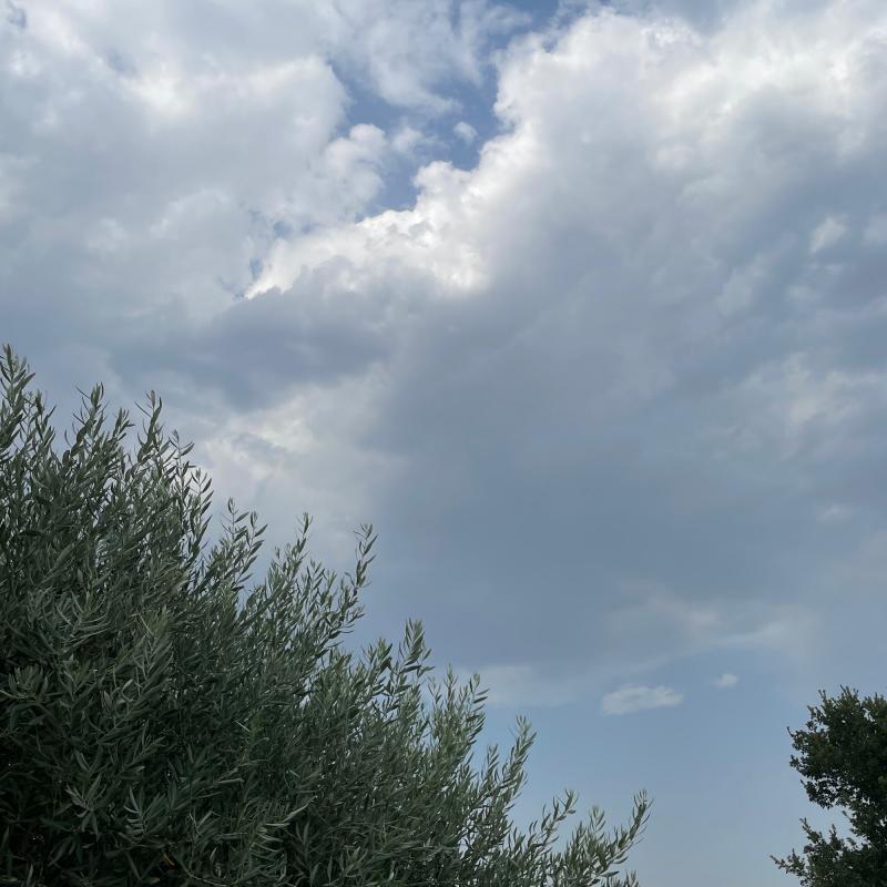 Fotosegnalazione di San giovanni la punta