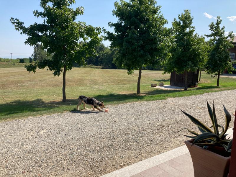 Fotosegnalazione di San secondo di pinerolo