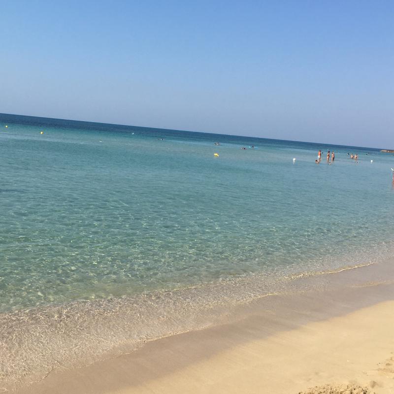Fotosegnalazione di Lido marini