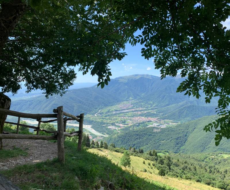 Malga molvine