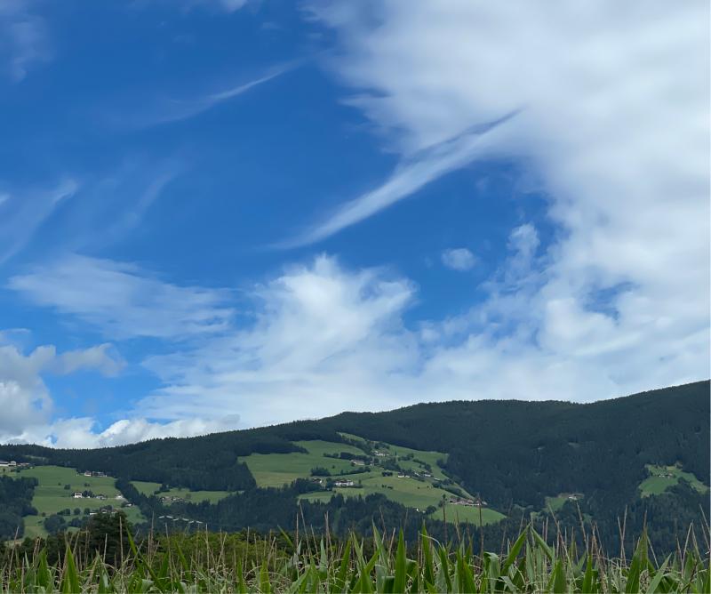 Fotosegnalazione di Naz sciaves