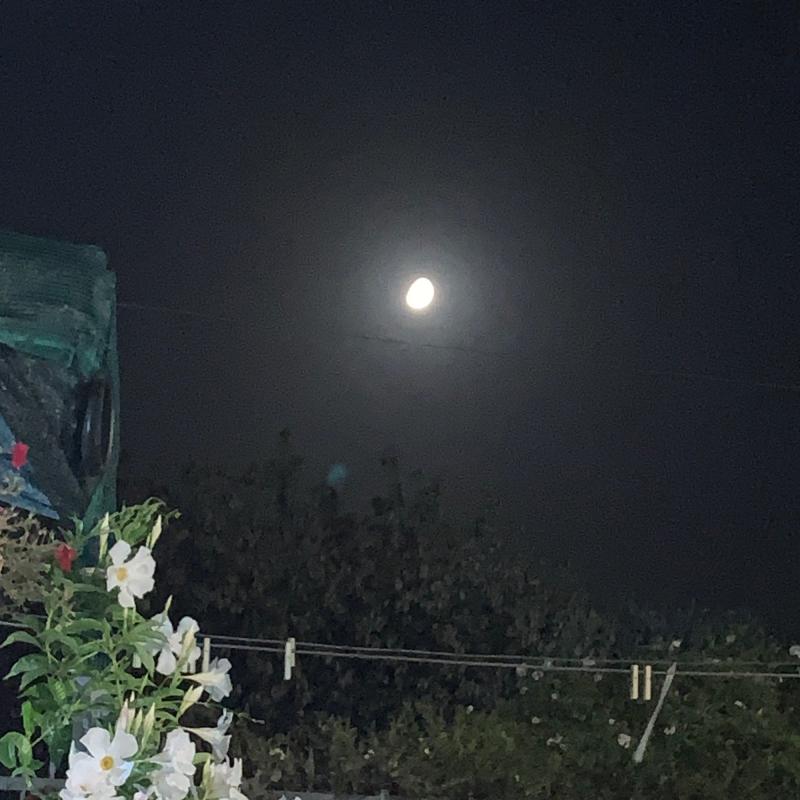 Fotosegnalazione di Vasto