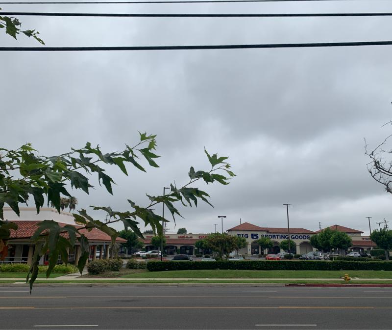 Fotosegnalazione di Santa clarita