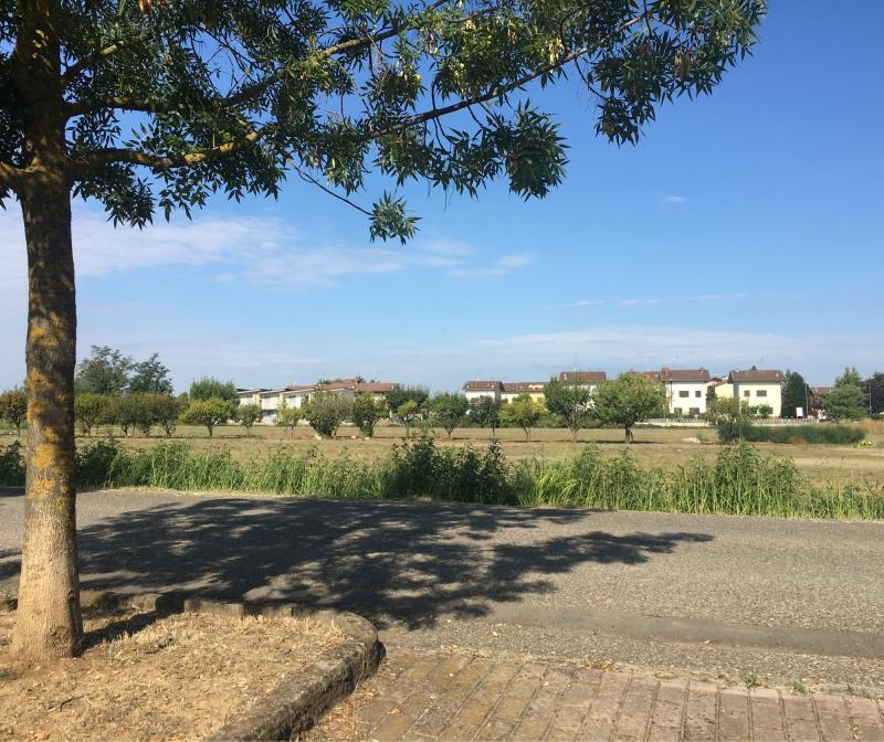 Fotosegnalazione di Piacenza
