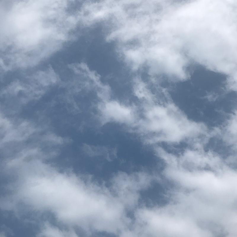 Fotosegnalazione di Novate milanese