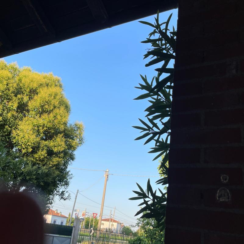 Fotosegnalazione di Gorizia