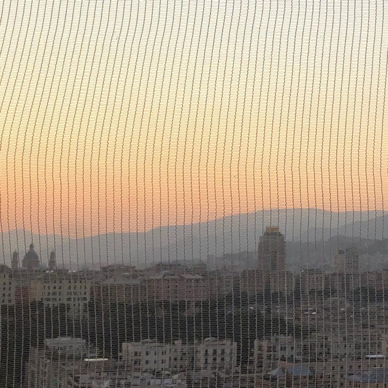 Fotosegnalazione di Genova