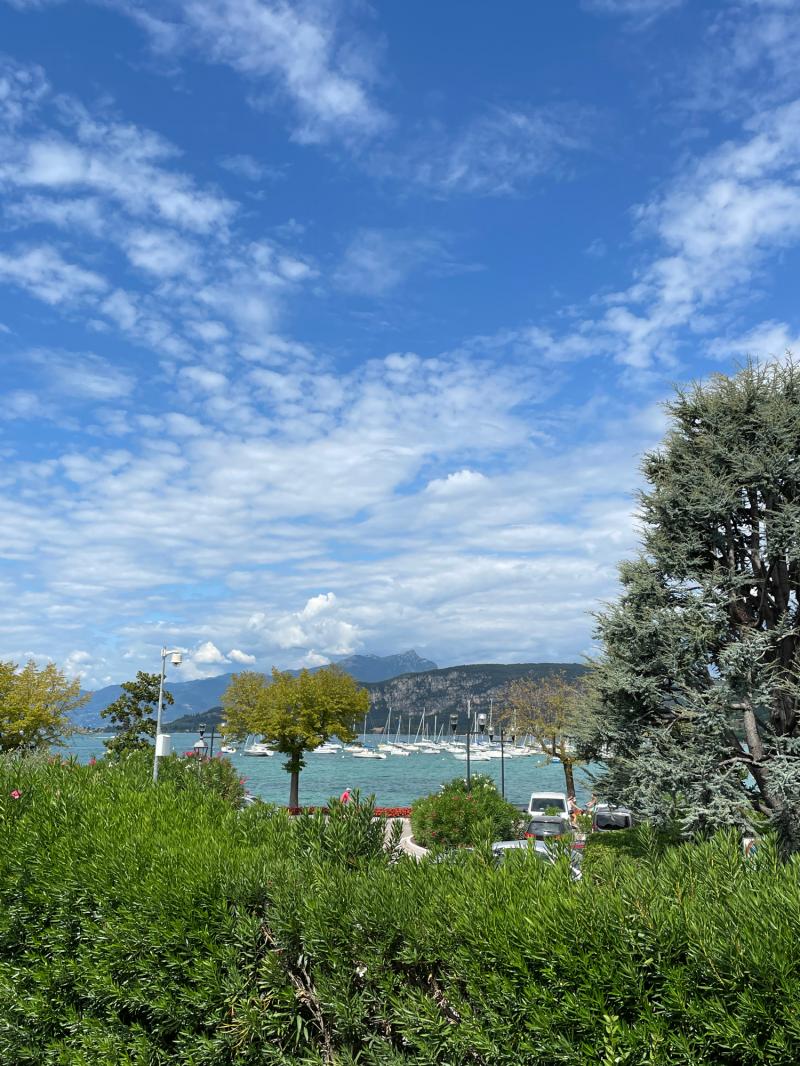 Fotosegnalazione di Bardolino