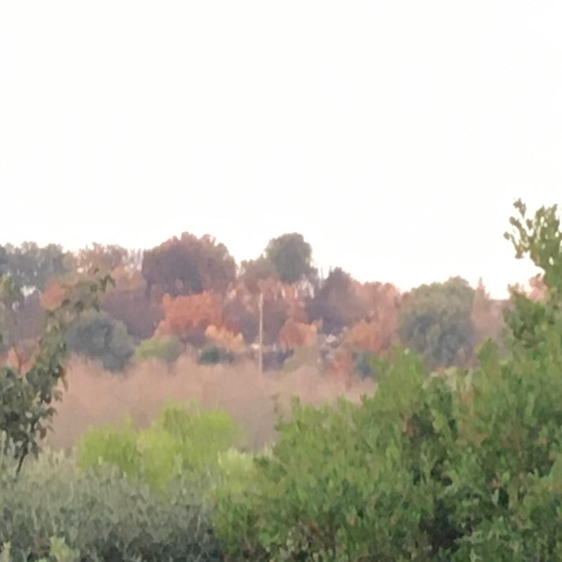 La serra di martignano vista da Calimera