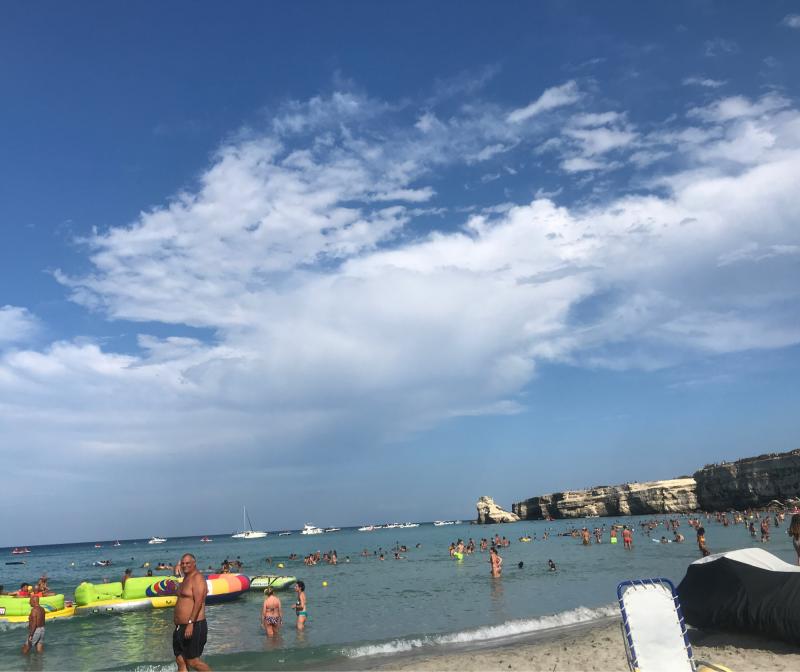 Fotosegnalazione di Torre dell'orso