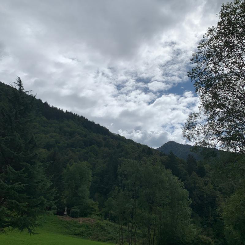 Fotosegnalazione di Gandellino