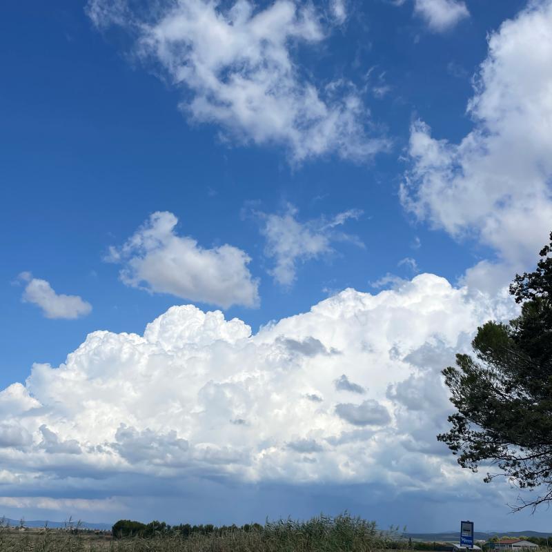 Fotosegnalazione di Piombino