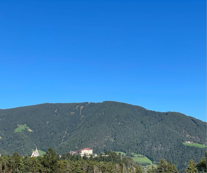 Fotosegnalazione di Naz sciaves