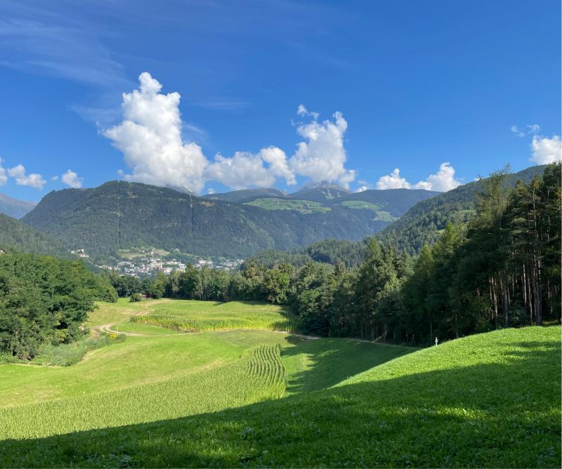 Fotosegnalazione di Naz sciaves