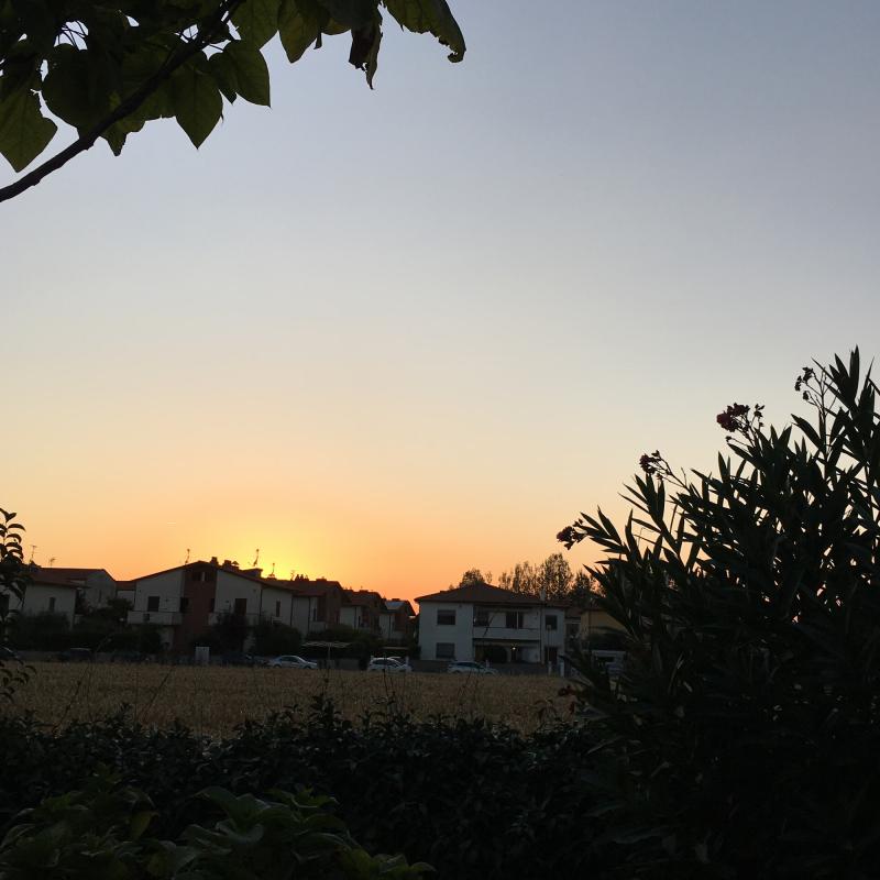 Fotosegnalazione di San giuliano terme