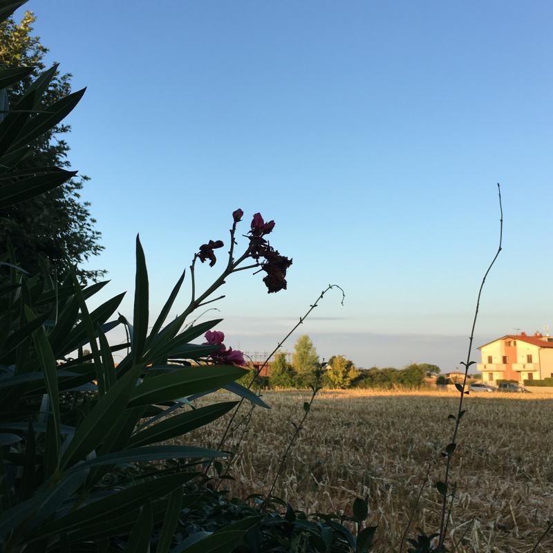 Fotosegnalazione di San giuliano terme