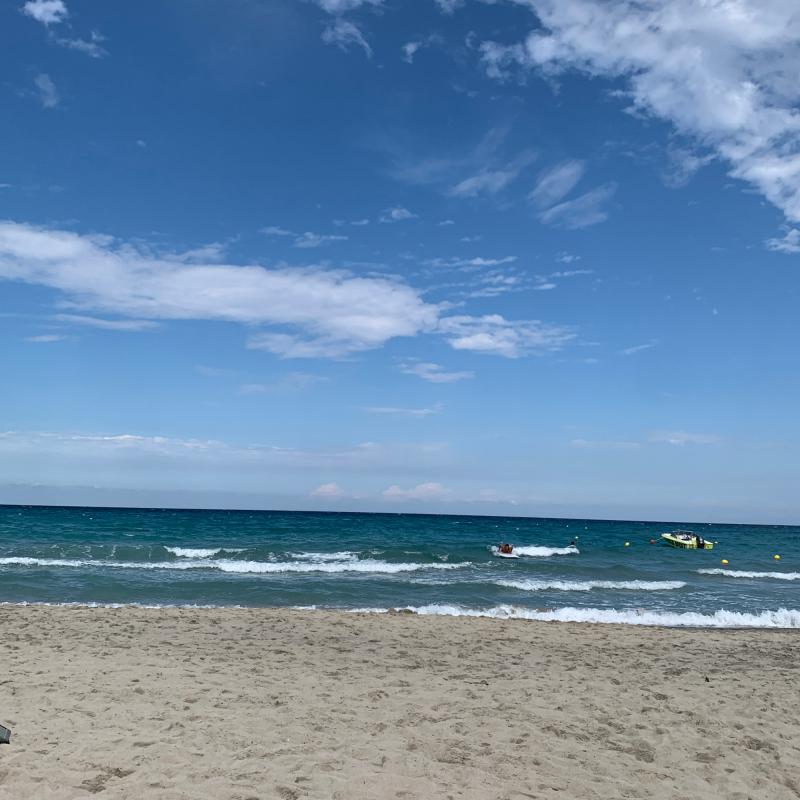 Fotosegnalazione di Torre dell'orso