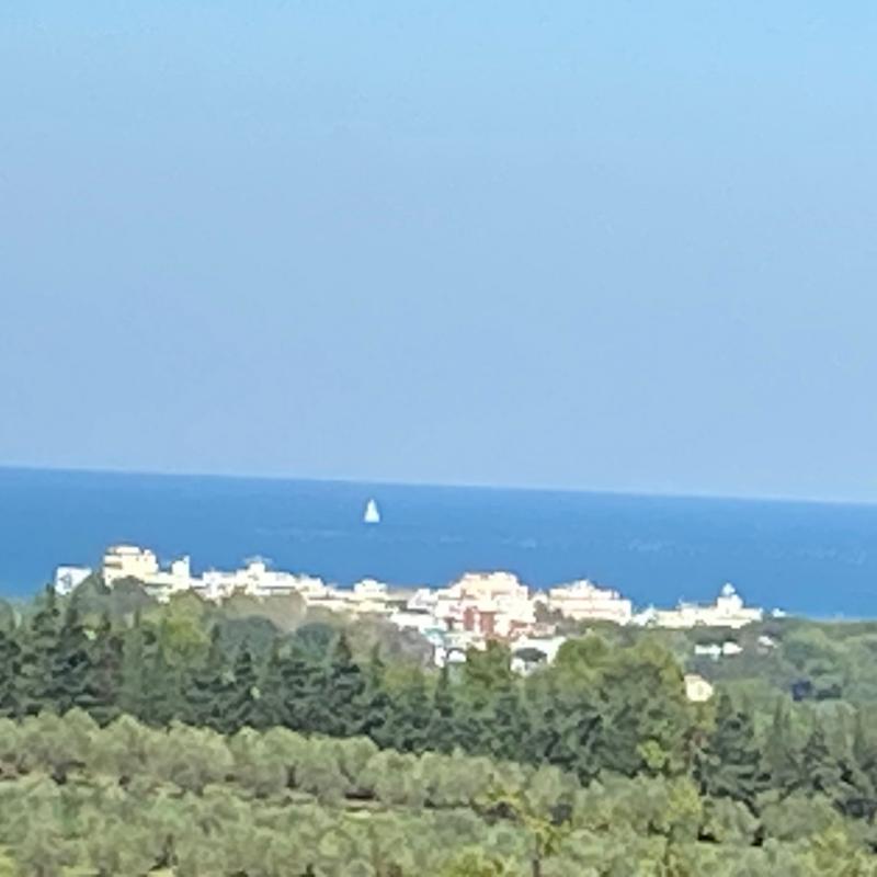 Fotosegnalazione di Misano adriatico