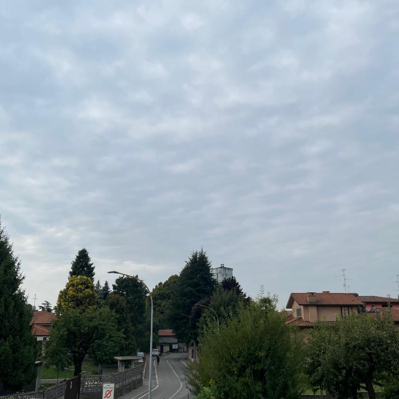 Fotosegnalazione di Bernareggio