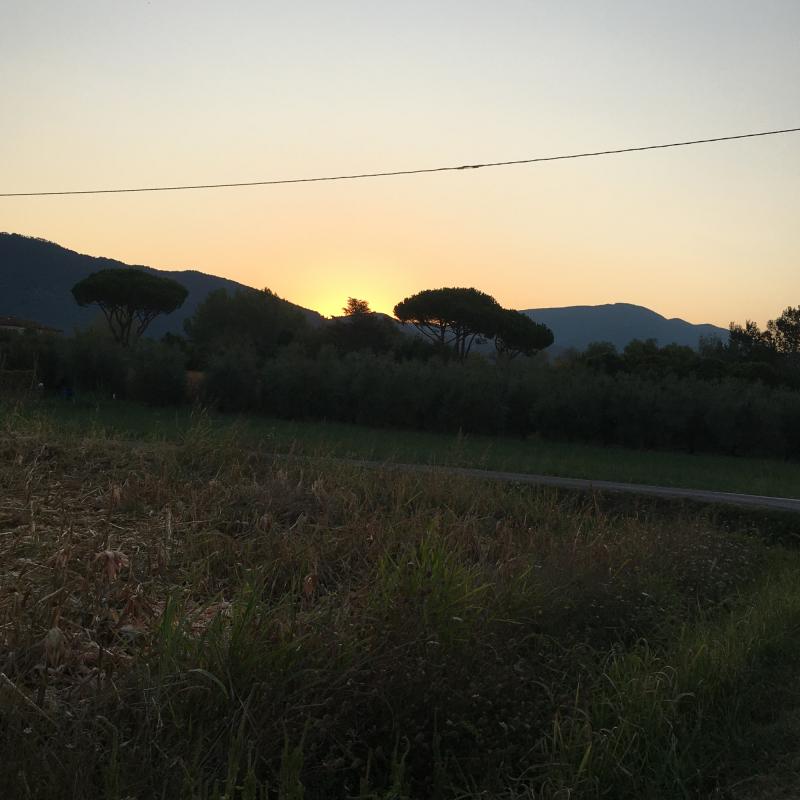 Fotosegnalazione di San giuliano terme