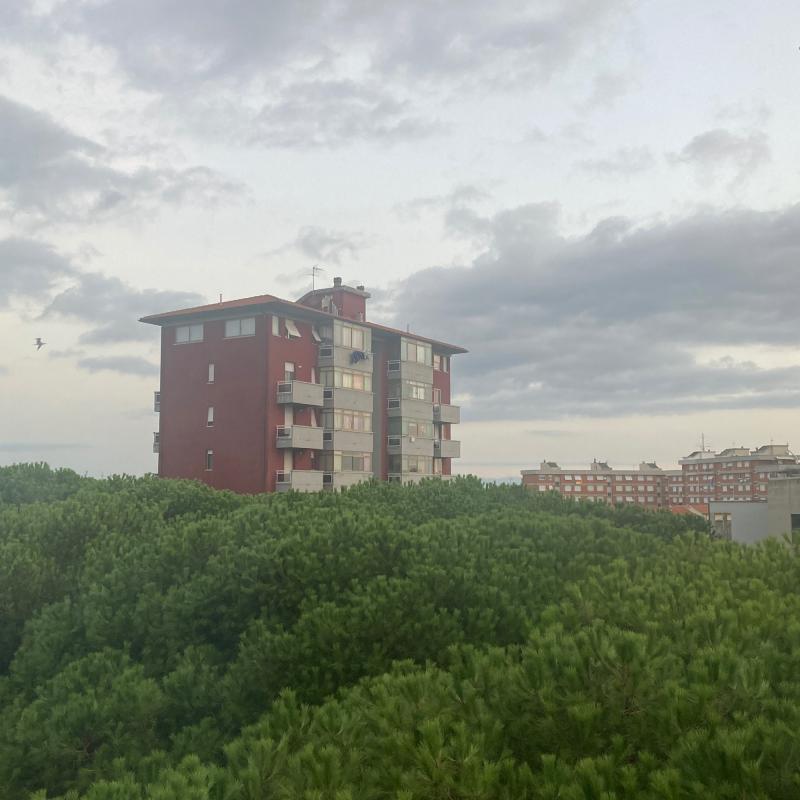 Fotosegnalazione di Livorno