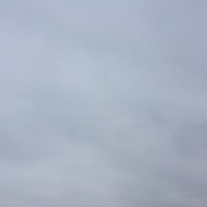Fotosegnalazione di Buccinasco