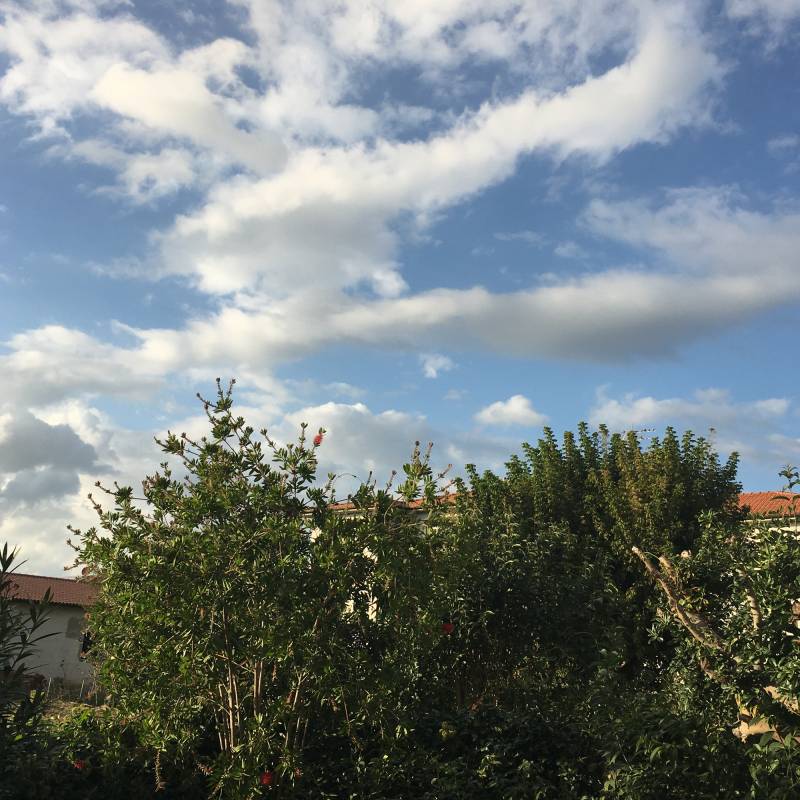 Fotosegnalazione di San giuliano terme