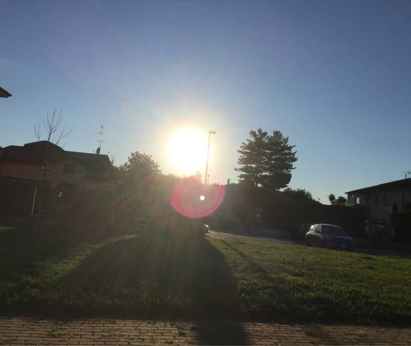 Fotosegnalazione di Olgiate olona
