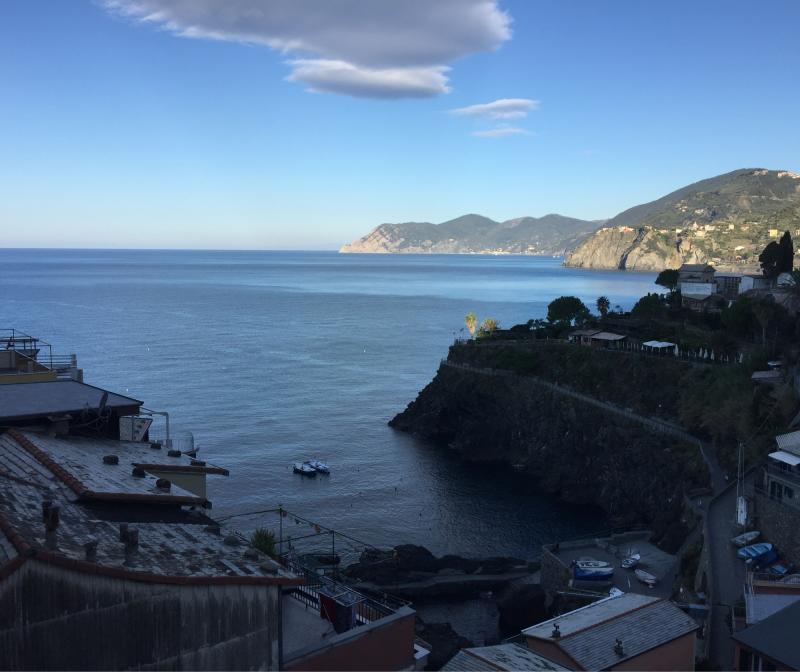 Fotosegnalazione di Manarola