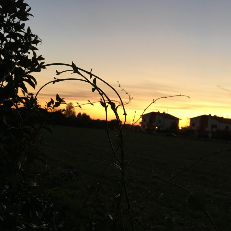 Fotosegnalazione di San giuliano terme
