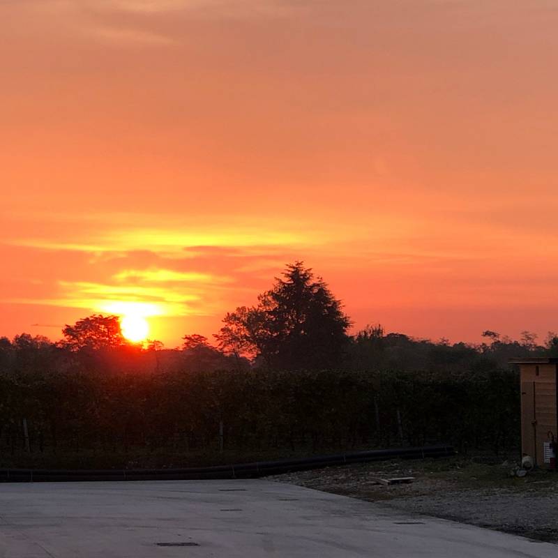 Fotosegnalazione di Villorba