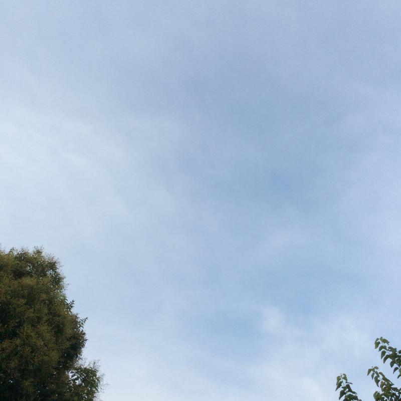 Fotosegnalazione di Gorizia