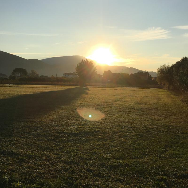 Fotosegnalazione di San giuliano terme