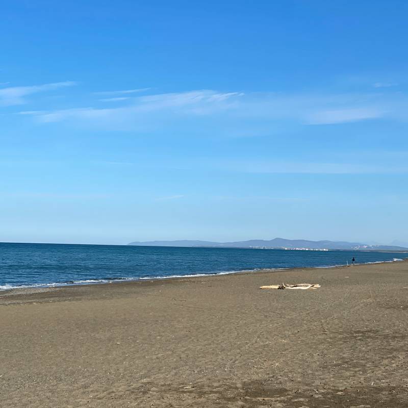Fotosegnalazione di Castagneto carducci