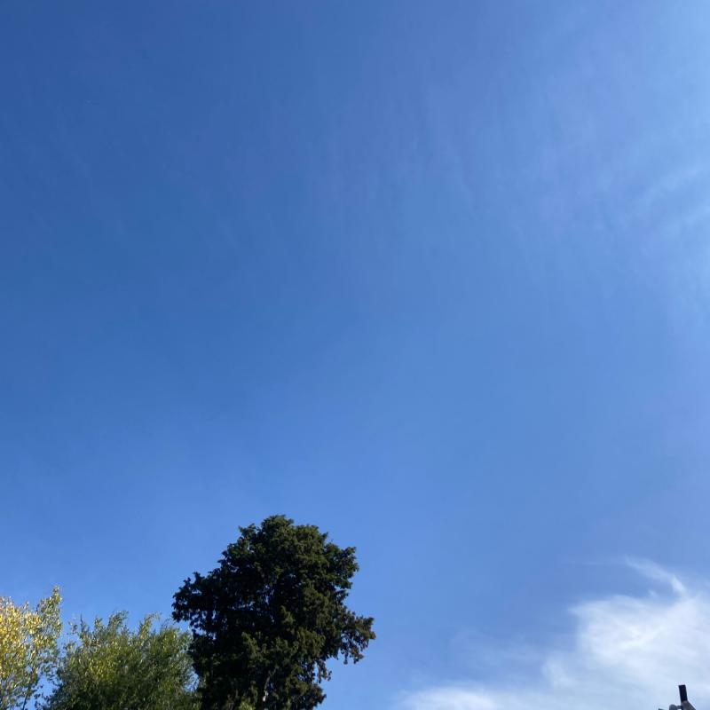 Fotosegnalazione di Roma pinciano