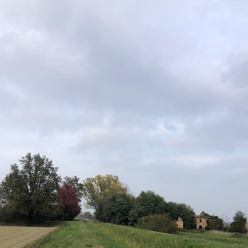 Fotosegnalazione di Fusignano