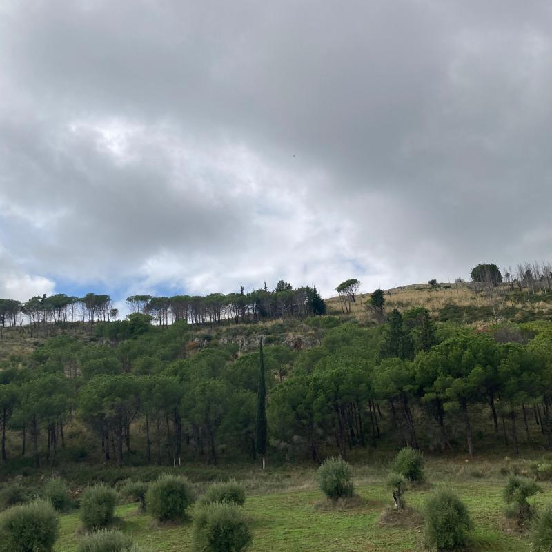 Fotosegnalazione di Castrovillari