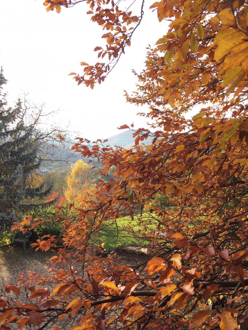 Coassolo autunnale