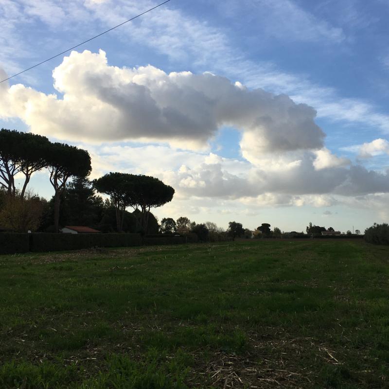 Fotosegnalazione di San giuliano terme