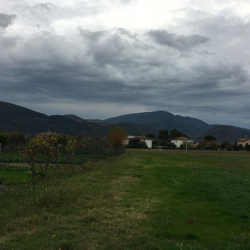 Fotosegnalazione di San giuliano terme