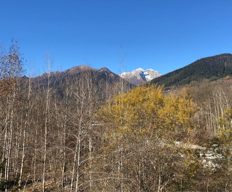 Fotosegnalazione di Malesco