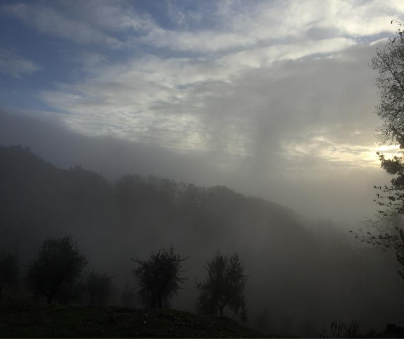 Fotosegnalazione di Sotto il monte giovanni xxiii