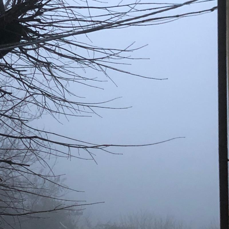 Fotosegnalazione di Amelia
