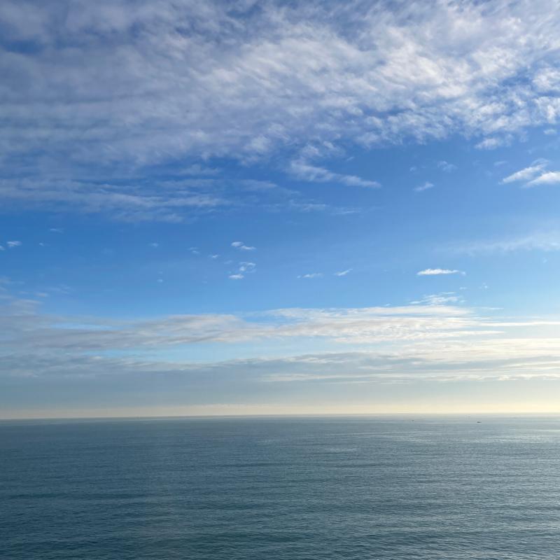 Fotosegnalazione di Bisceglie