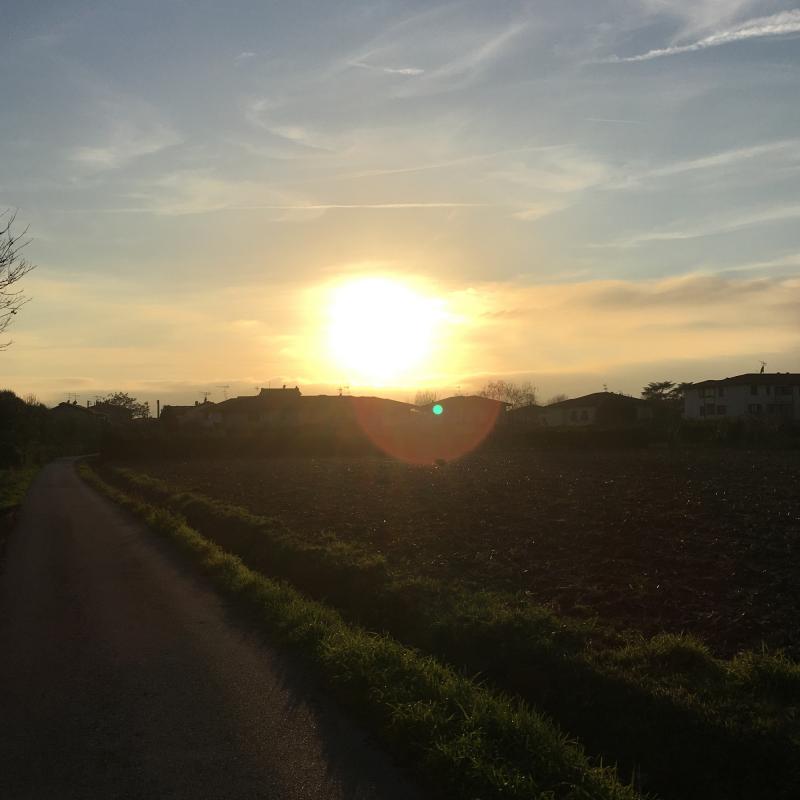 Fotosegnalazione di San giuliano terme