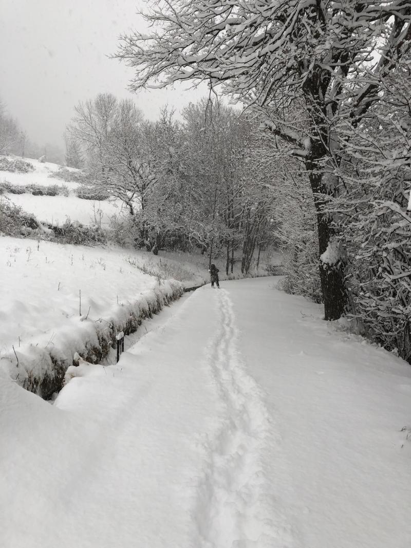 Neve neve neve